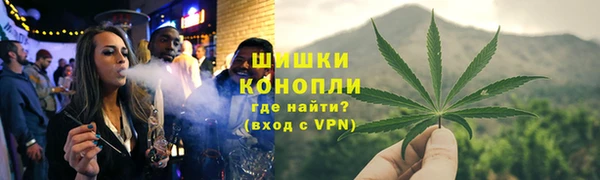 амф Мегион