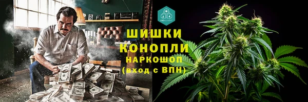 PSILOCYBIN Медногорск