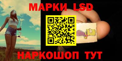 СК Бийск