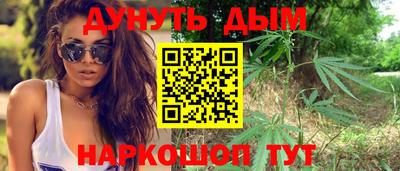 СК Бийск