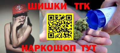 СК Бийск