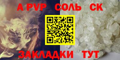 СК Бийск