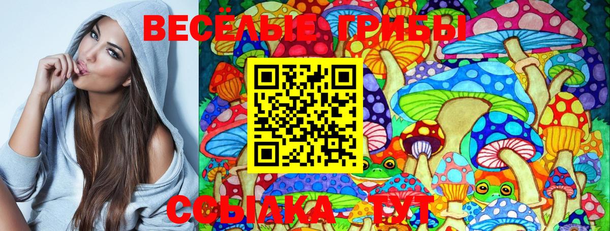 Псилоцибиновые грибы мицелий Воткинск