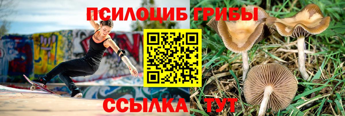 Псилоцибиновые грибы Magic Shrooms  где купить   Воткинск 
